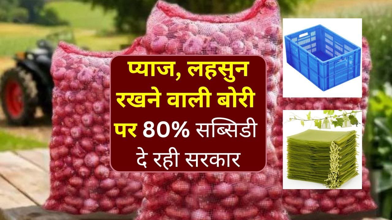 विशेष हस्तक्षेप योजना (2024-25)