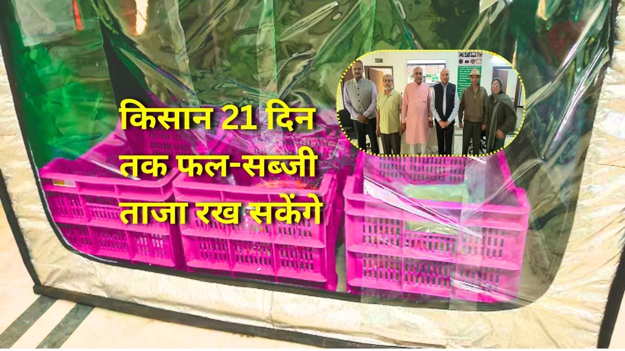 सब्जी कोठी