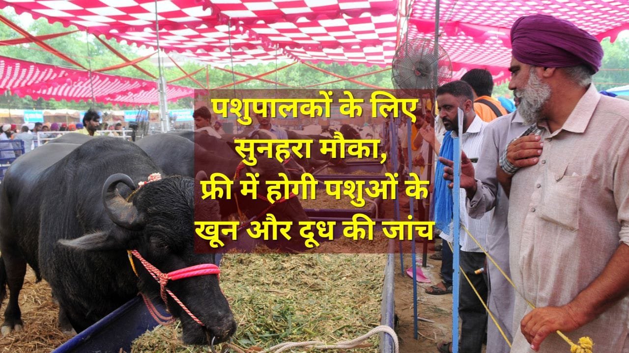 पशुपालन