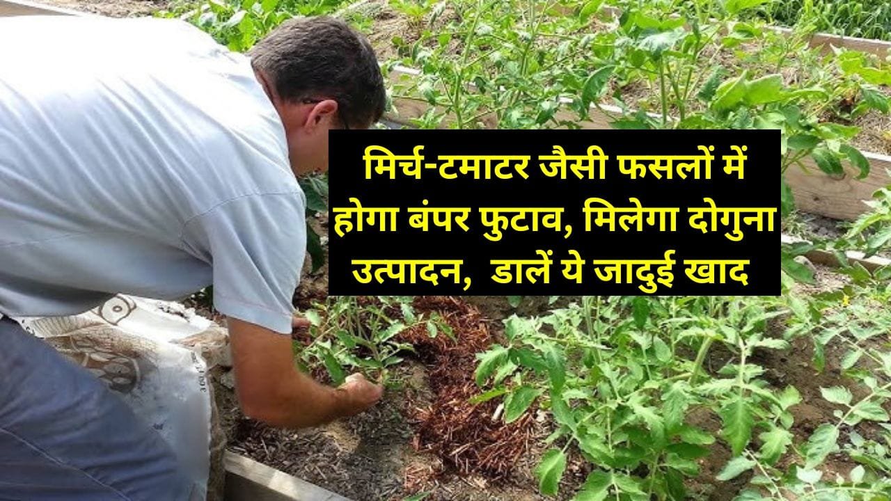 फुटाव के लिए खाद