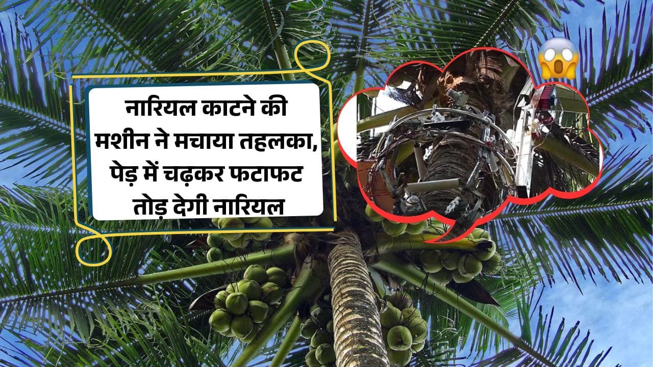 कोको-बॉट