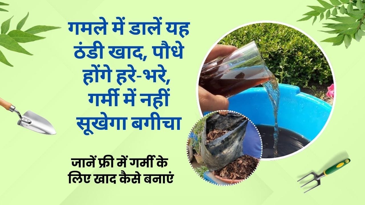 गर्मी के लिए खाद