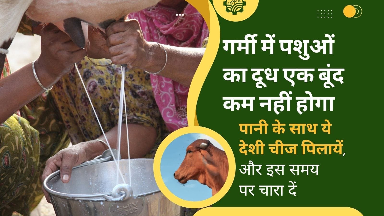 गर्मी में पशुओं की देखभाल