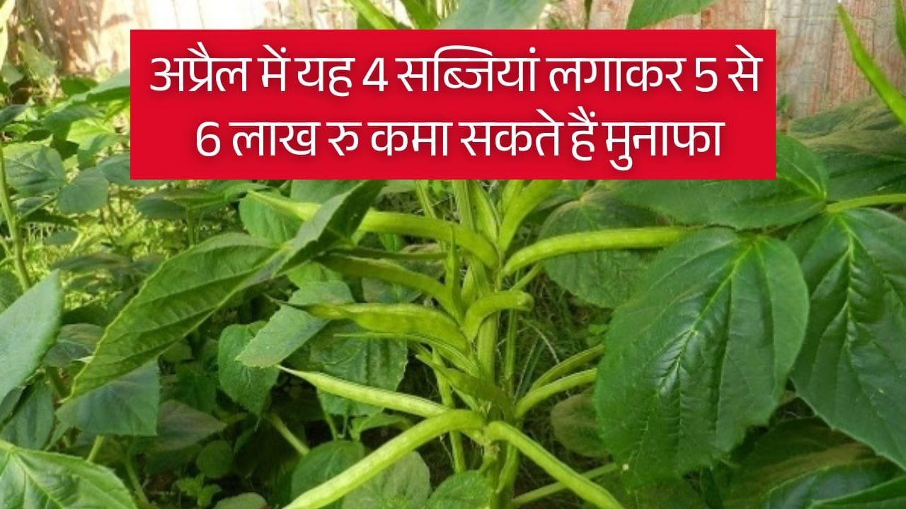 अप्रैल में कौन-सी सब्जी लगाए