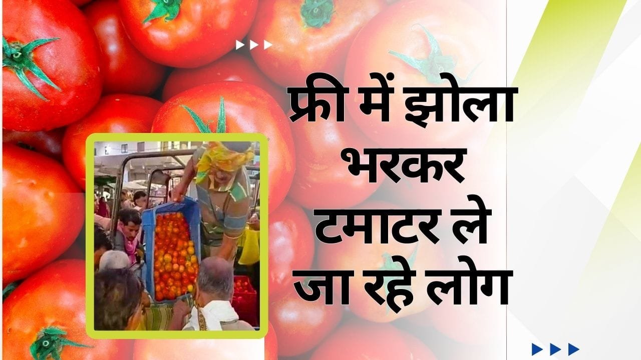 फ्री में बांट रहे टमाटर