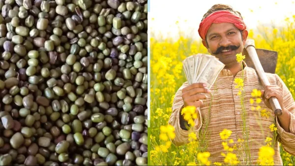 वैशाली जिला कृषि विभाग