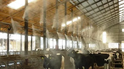 फोगर किट