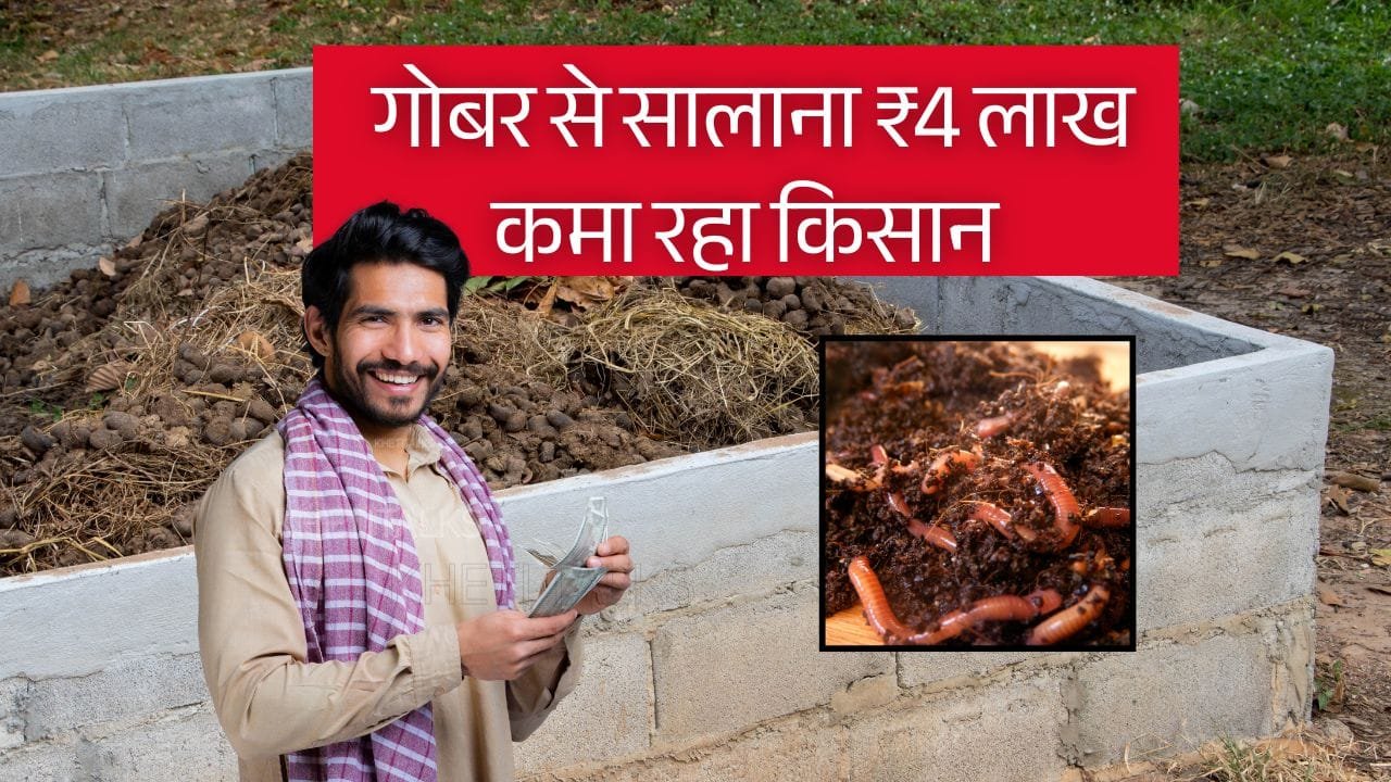 वर्मी कम्पोस्ट