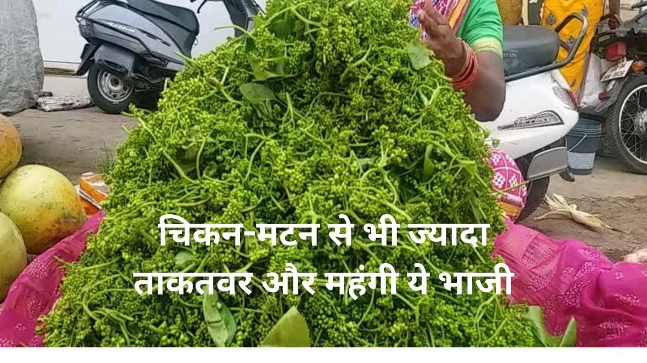 चिकन-मटन से भी ज्यादा ताकतवर और महंगी ये भाजी, साल में सिर्फ 2 महीने आती है नजर मार्केट में है खूब डिमांड, जाने नाम