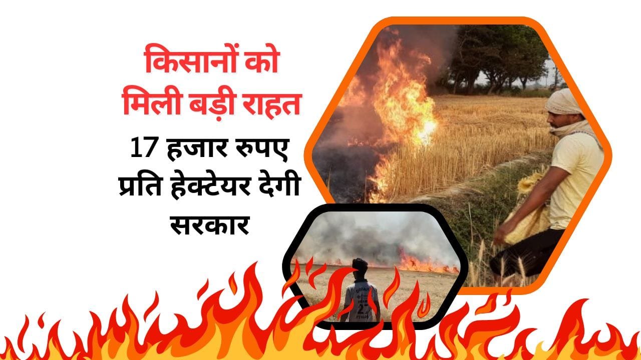 फसल में आग लगने से ऐसे बचाएं