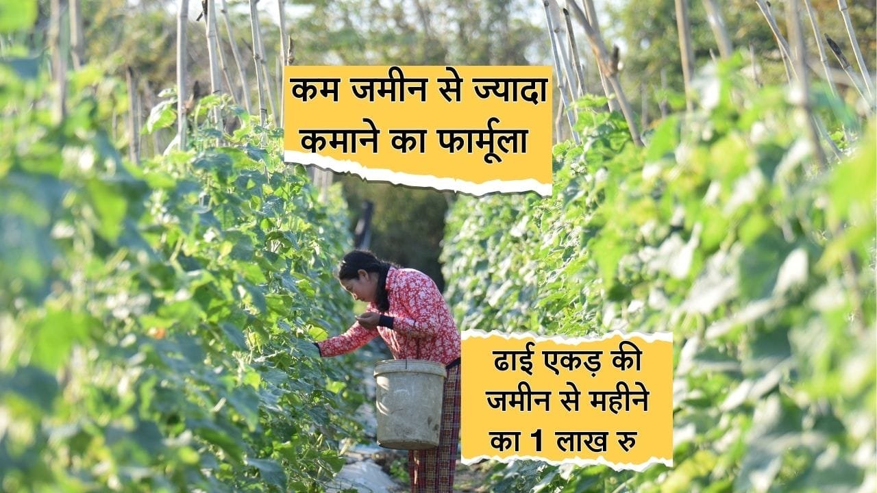 इंटरक्रॉपिंग