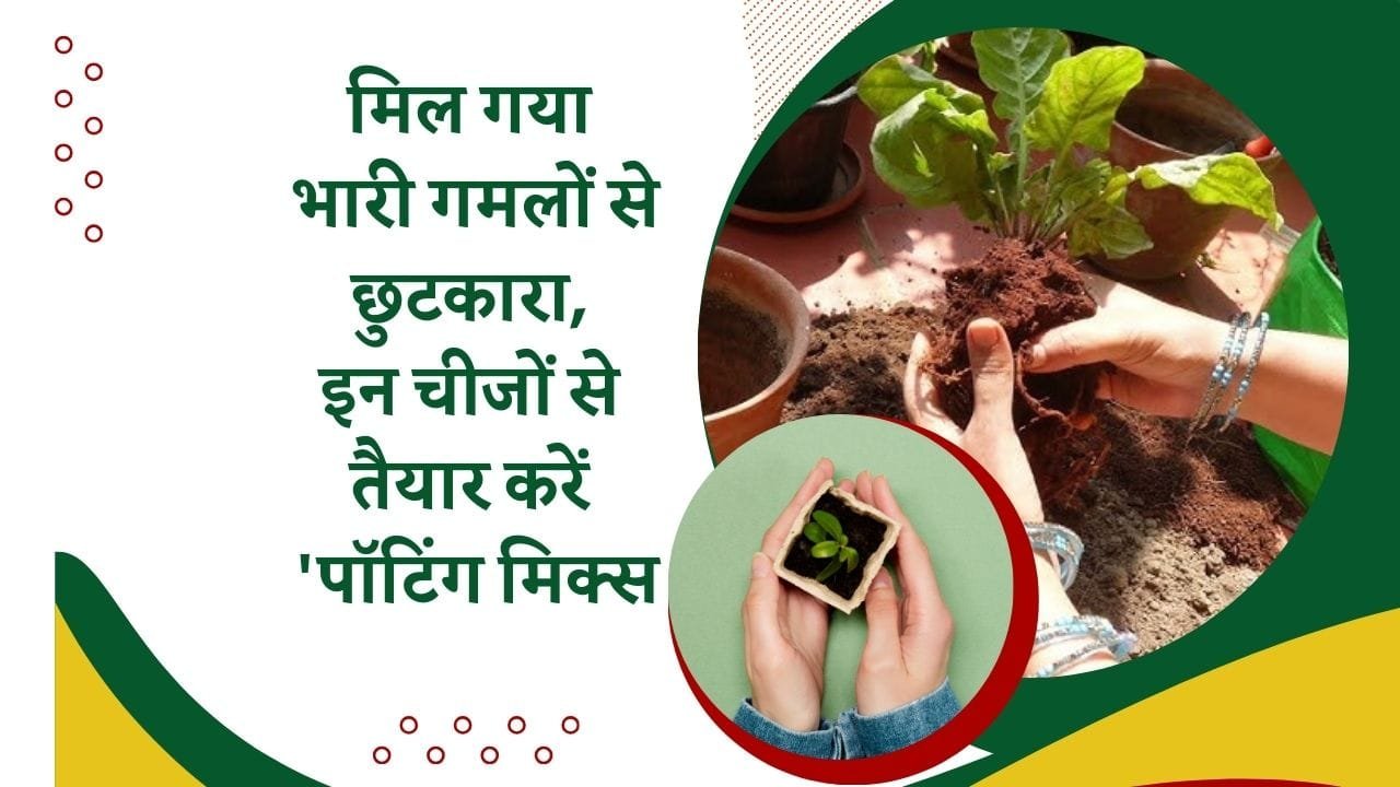 हल्की मिट्टी का मिश्रण कैसे करें तैयार