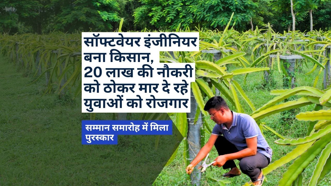 ड्रैगन फल की जैविक खेती