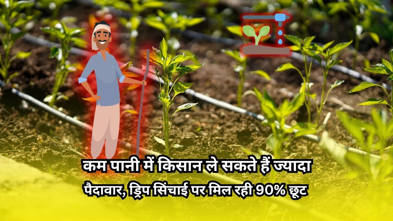 ड्रिप सिंचाई पर सब्सिडी