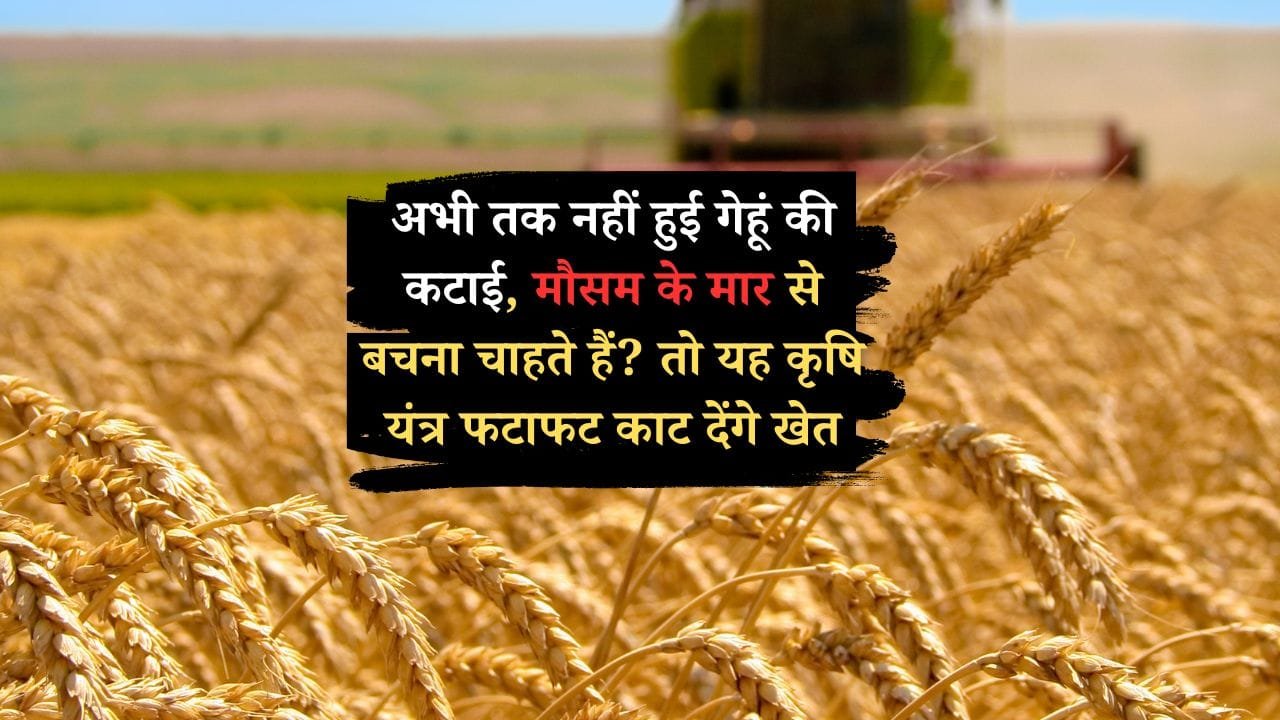 गेहूं काटने की मशीन