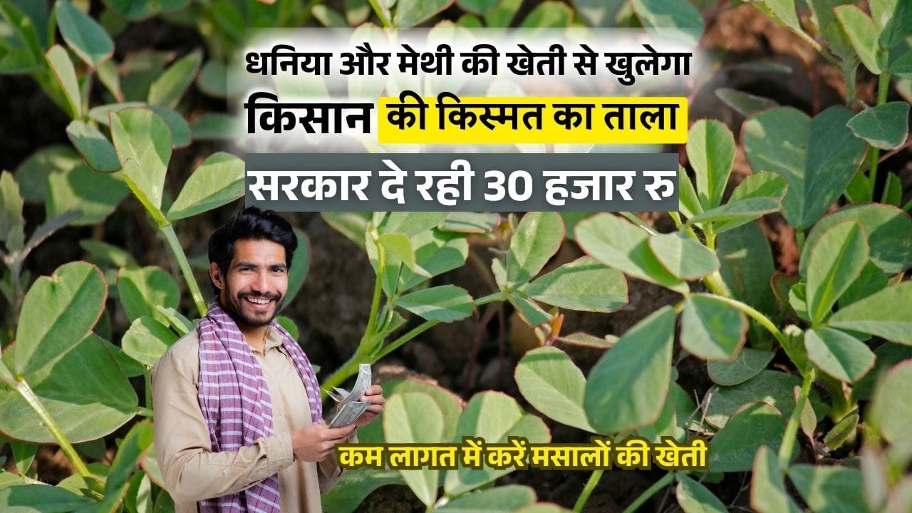 बीज मसाले की योजना