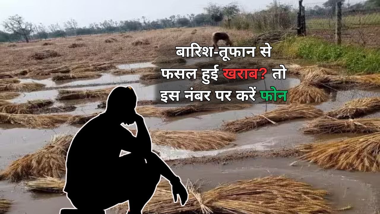 फसल का बीमा