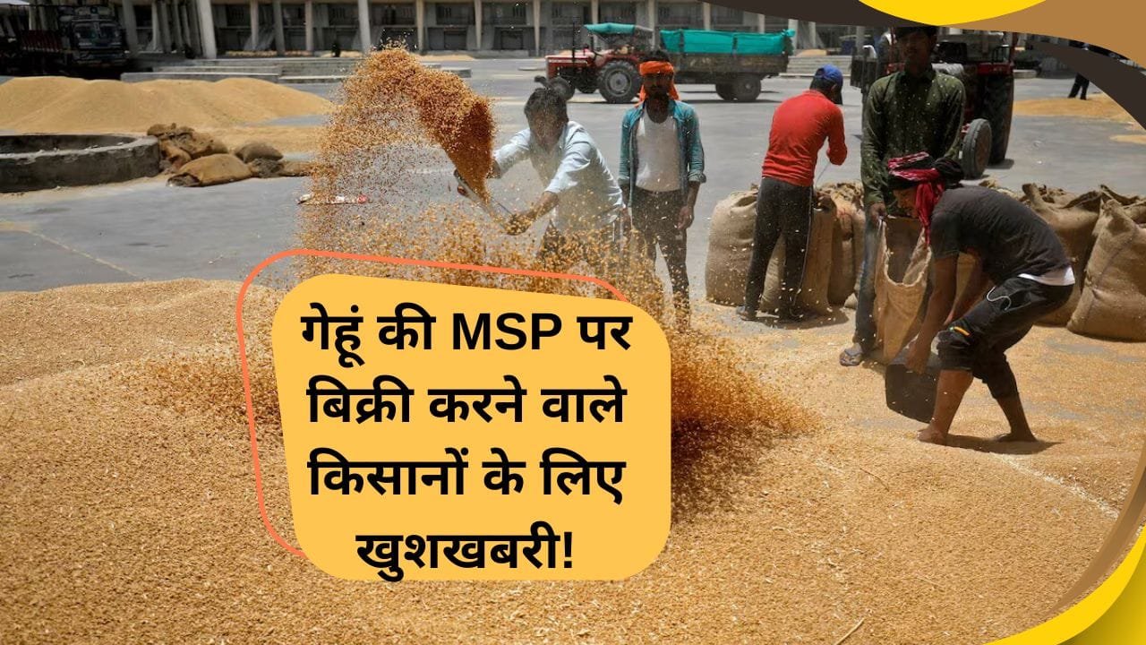 किसान 100 क्विंटल तक उपज बिना वेरिफिकेशन के भी बेंच सकते हैं
