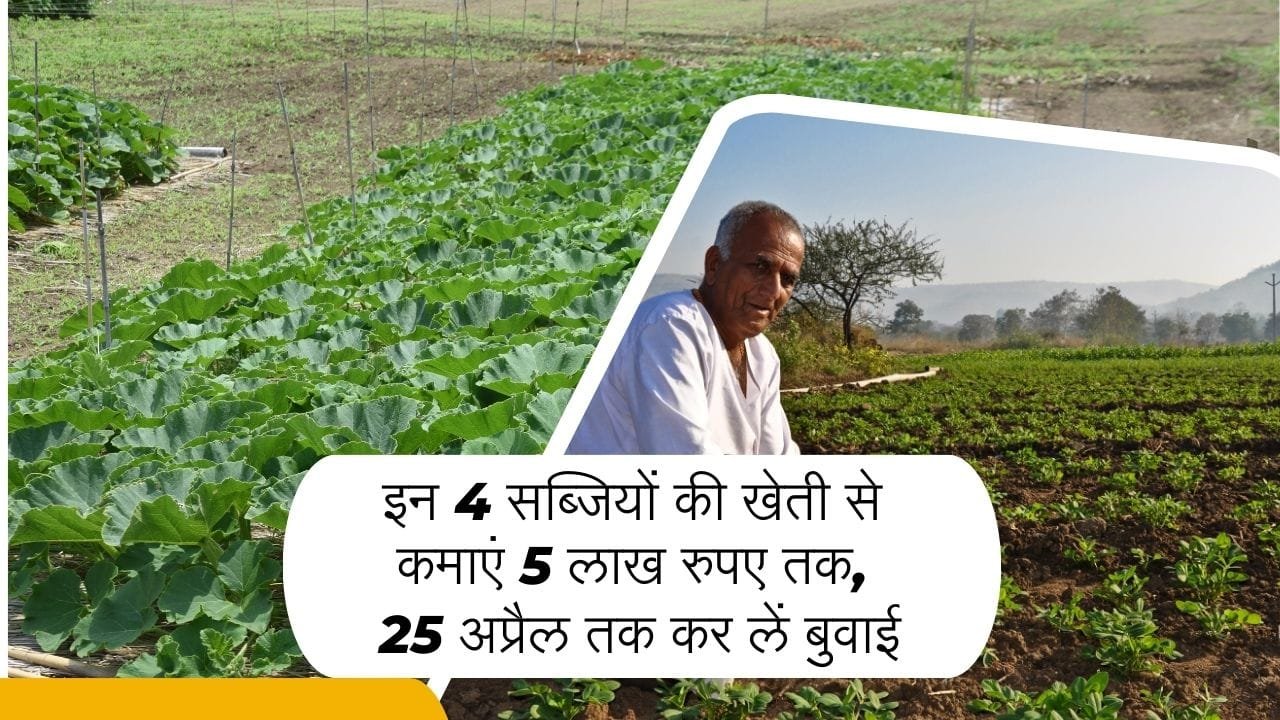 अप्रैल में सब्जियों की खेती