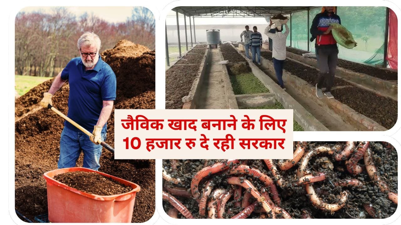 जैविक खाद बनाने के लिए 50% अनुदान