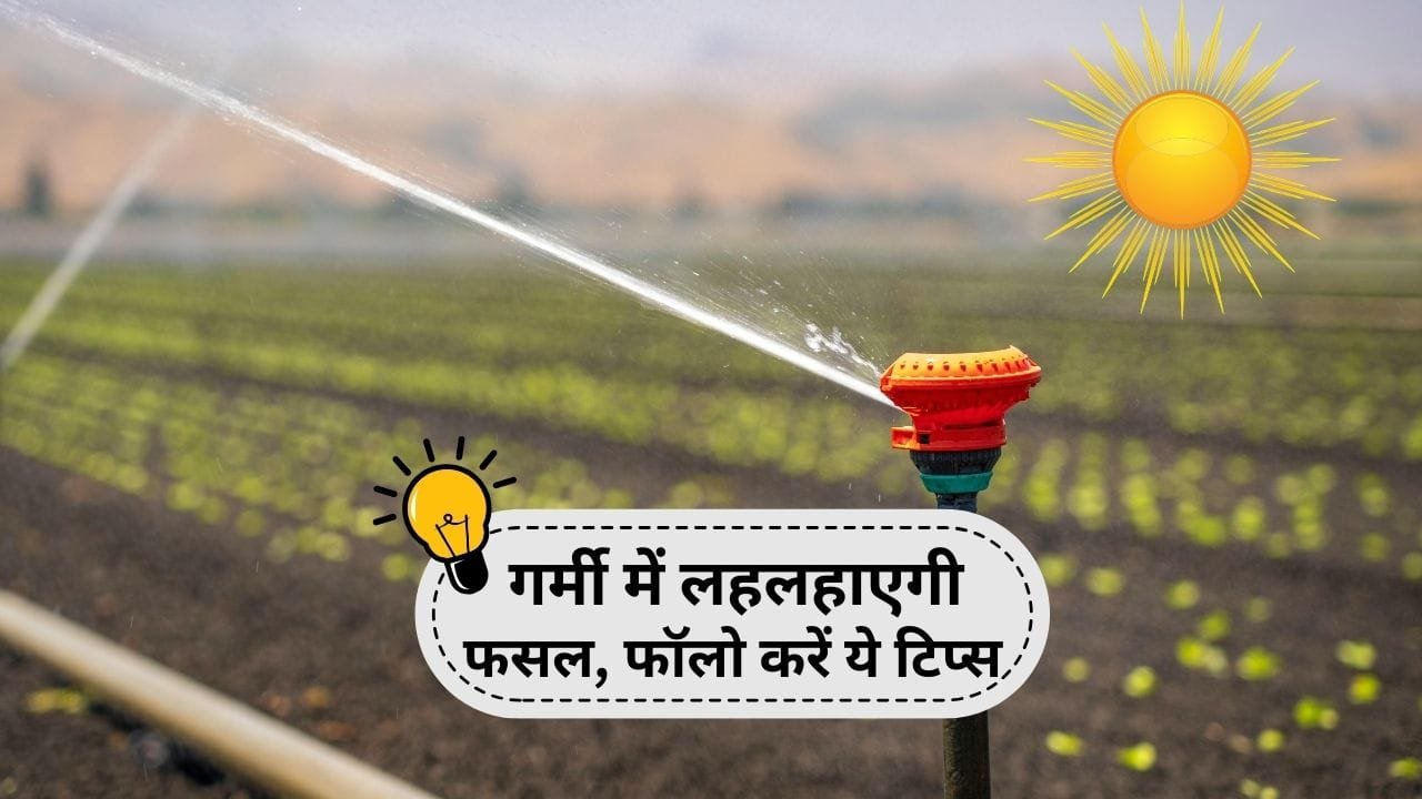 गर्मी में खेतों की देखभाल कैसे करें