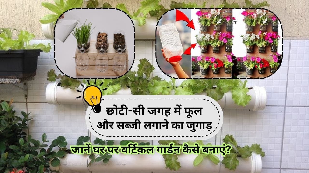 Vertical gardening tips in Hindi