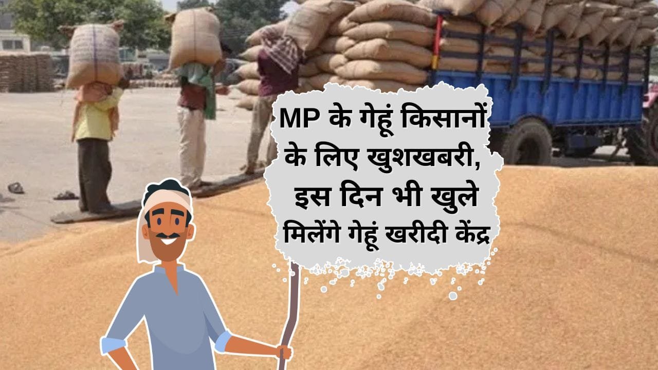 18 और 19 अप्रैल को भी होगी गेहूं की खरीदी