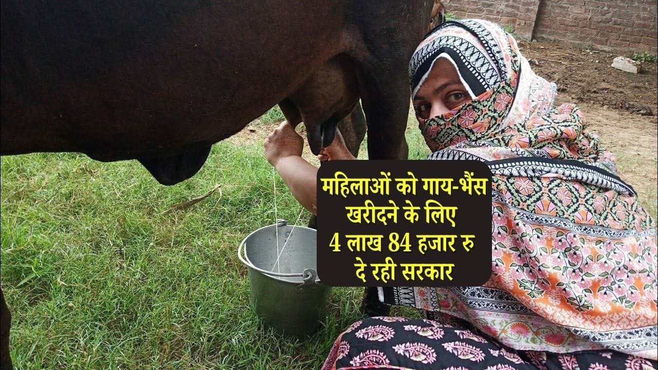 गंगा गाय महिला डेयरी योजना