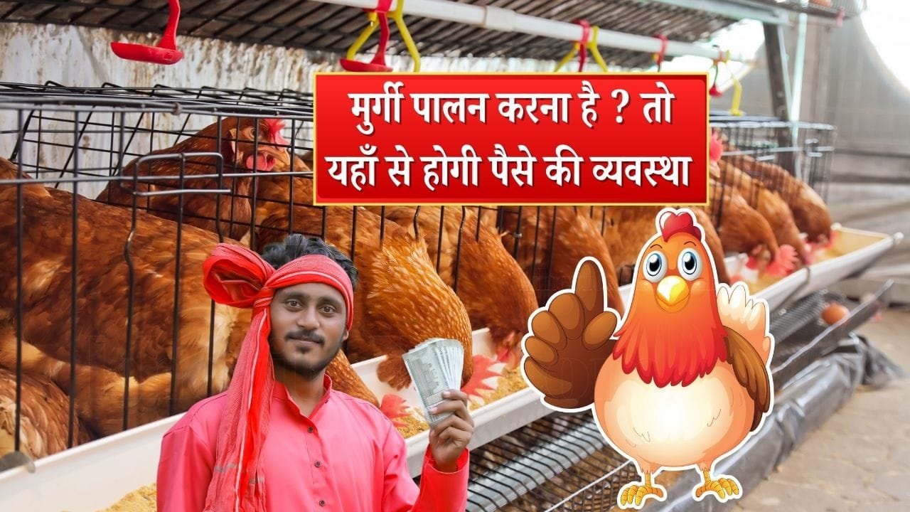 मुर्गी पालन के लिए सब्सिडी