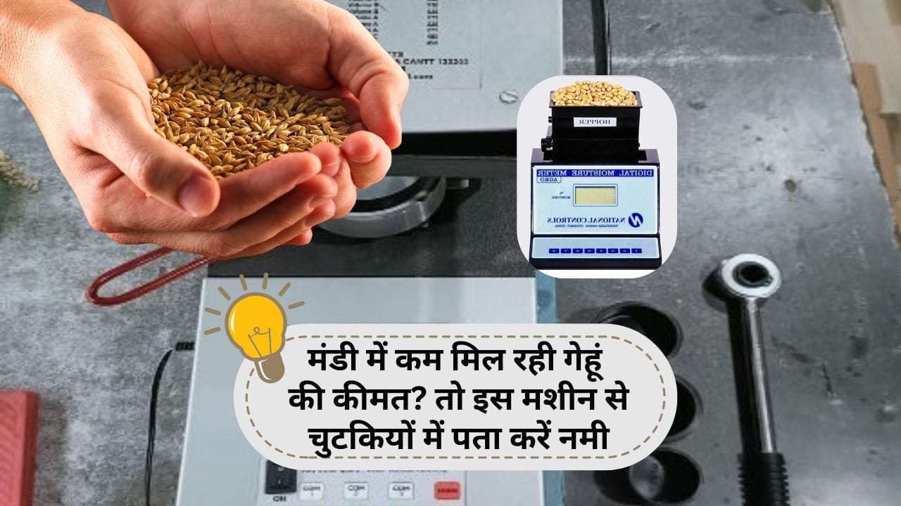 गेहूं की नमी चेक करने वाली मशीन