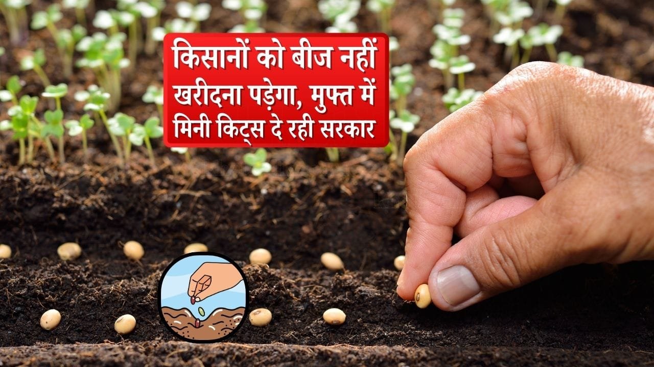 मुख्यमंत्री बीज स्वावलंबन योजना