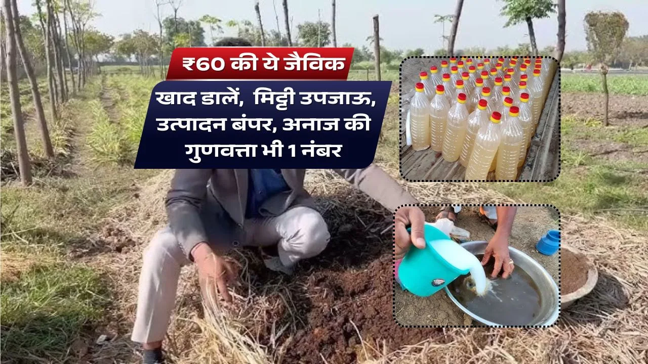 गौ कृपा अमृतम