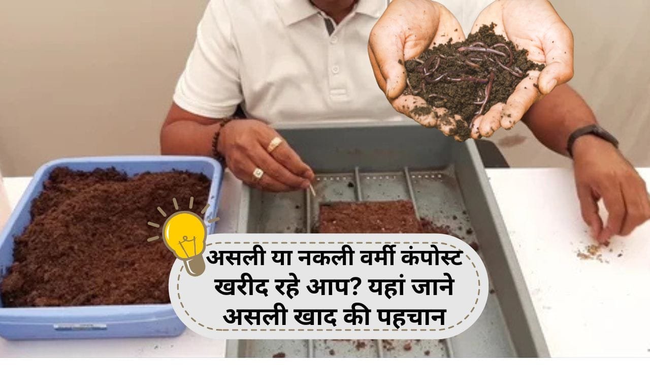 वर्मी कंपोस्ट की पहचान