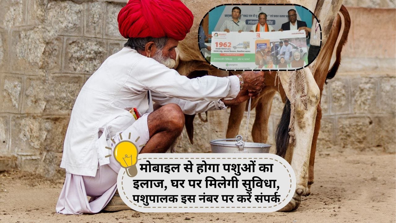 1962 एमवीयू राजस्थान चैटबॉट नंबर