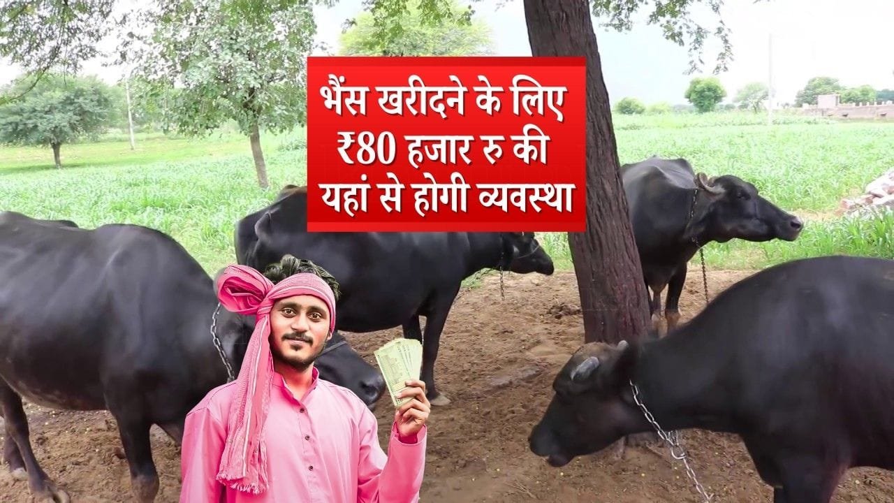 पशुपालन लोन योजना