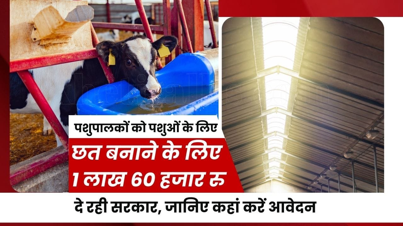 मनरेगा पशु शेड योजना