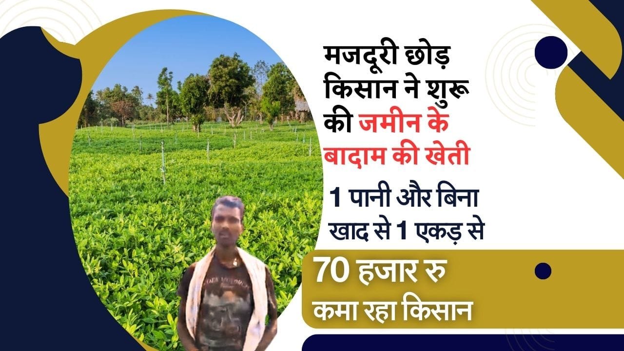 किसान की सफलता की कहानी