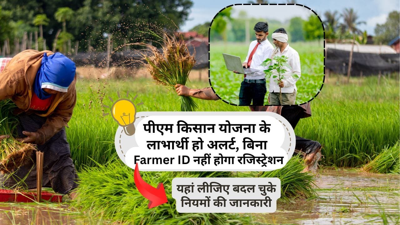 प्रधानमंत्री किसान सम्मान निधि योजना