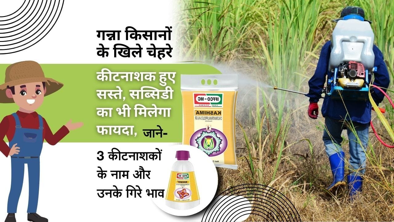 कीटनाशक दवाइयों के भाव कम हुए