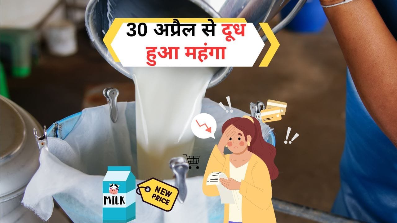 मदर डेयरी