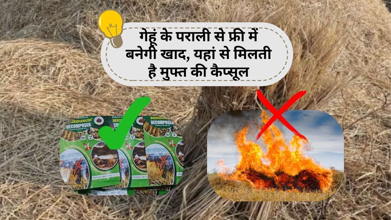 वेस्ट डी कंपोजर