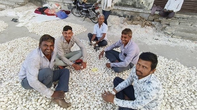 लहसुन पर आढ़त