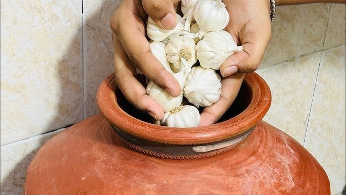 लहसुन स्टोर करने का पुराना जुगाड़