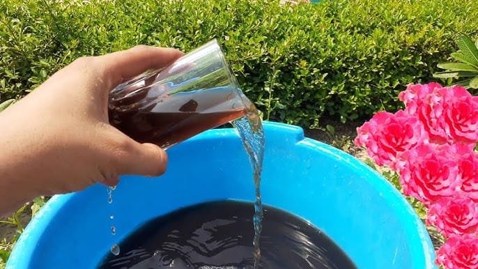 ठंडी जैविक खाद कैसे बनाएं