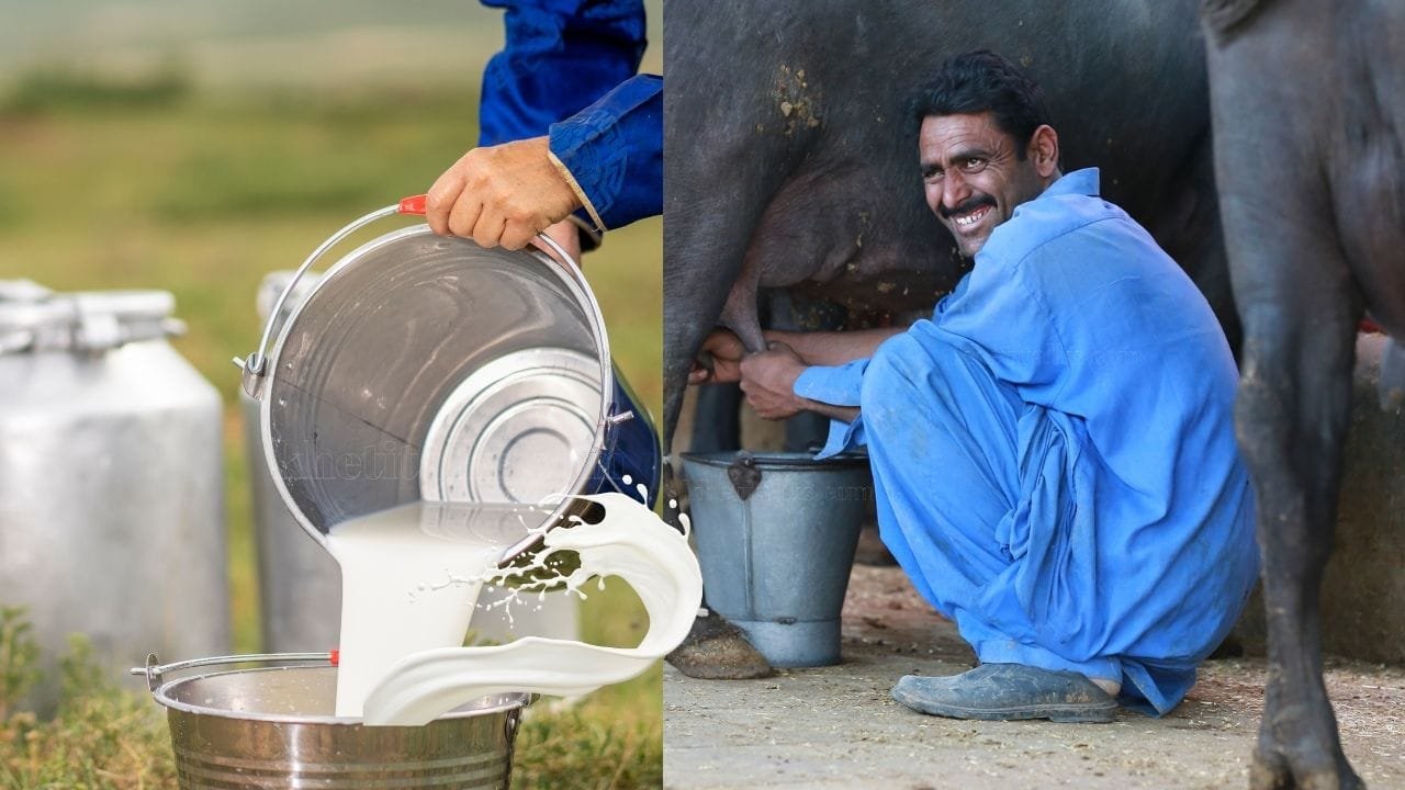 सभी गांव में होंगे कलेक्शन सेंटर