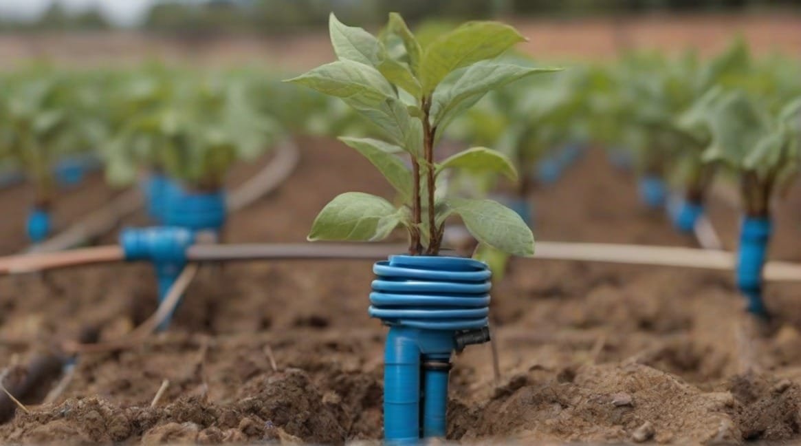 किसान की सफलता की कहानी