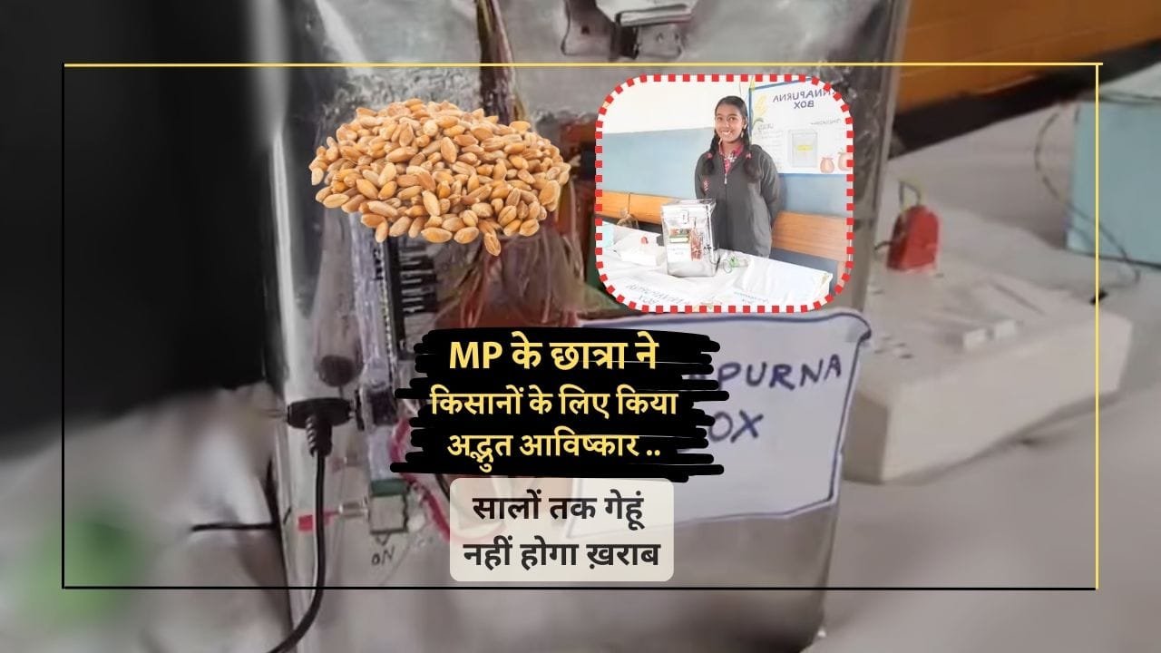 गेहूं को खराब होने से बचाने वाली डिवाइस