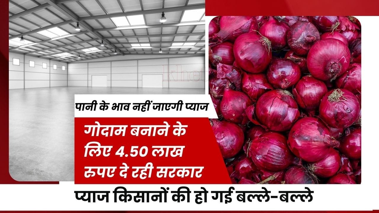 प्याज के गोदाम पर सब्सिडी