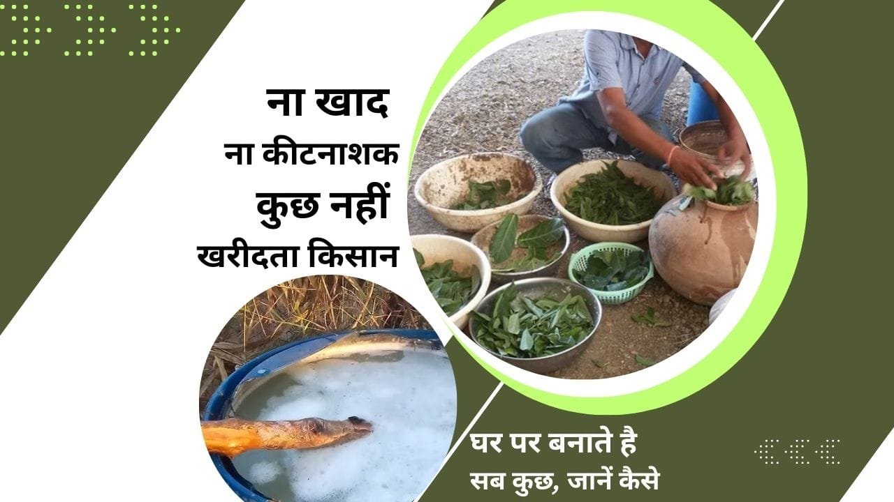 जैविक कीटनाशक कैसे बनाते हैं