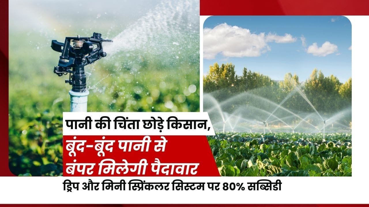ड्रिप और मिनी स्प्रिंकलर सिस्टम पर 80% सब्सिडी